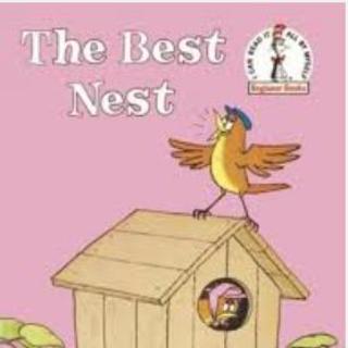 最好的窝 The Best Nest