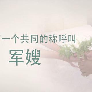 爸妈，你们的女婿是一名军人—《军嫂的来信》