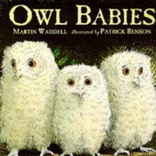 【故事8/中级】Owl babies（小何老师）
