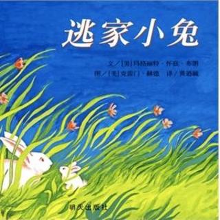 【读书的旅程】-《逃家小兔》-王子越和惊喜阿姨现场版