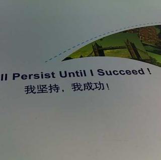 I will persist until I succeed