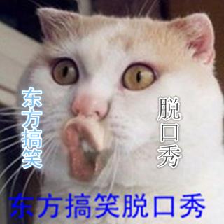 东方搞笑脱口秀