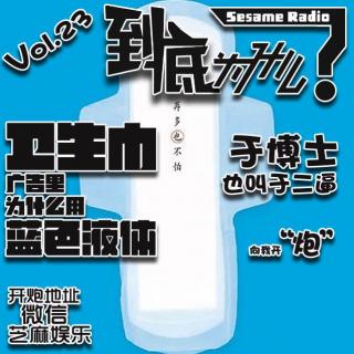 卫生巾广告里为什么用蓝色液体 Vol.23《到底为什么？》