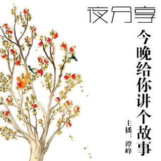 【夜分享】- 今晚给你讲个故事 - DJ谭峰