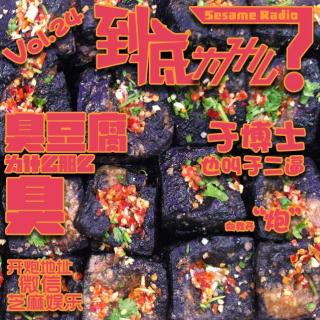 臭豆腐为什么那么臭 Vol.24《到底为什么？》