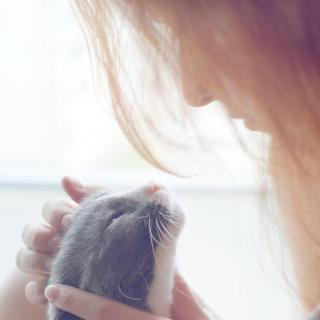 【爱情故事】猫咪见证的爱情-李荷西