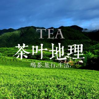 006茶的旅行：铁观音