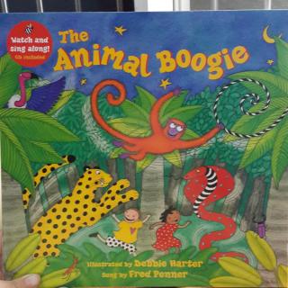 和Fiona一起唱🎤-🐻The Animal Boogie(Part 1)