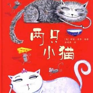 小溢老师讲故事《两只小猫》