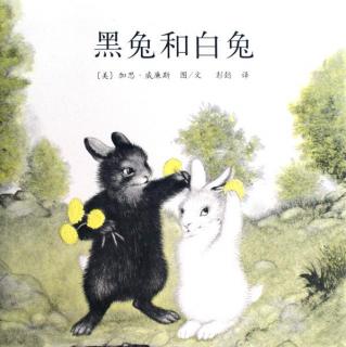 绘本故事《黑兔和白兔》（爱情，世上最美好的感情）