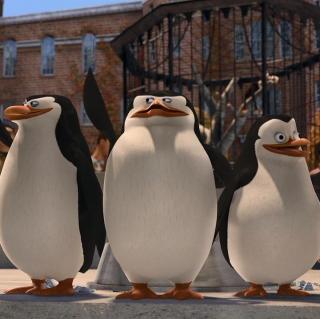 Just smile and wave,Boys,smile and wave