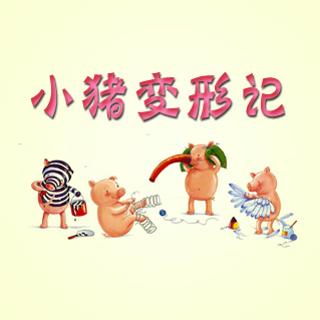 小猪变形记-张慧姐姐