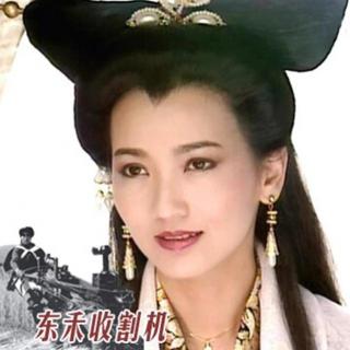 东禾收割机Vol.5 一代女神赵雅芝！