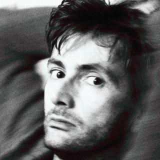 【Not Tom】大提提~David Tennant 读sonnet 18, 美味的苏格兰口音:)