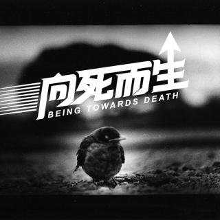 【小石头的世界】向死而生