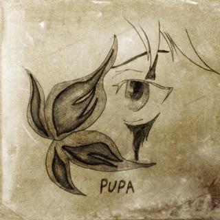 【漫评】PUPA|蝶之梦（vol.6）