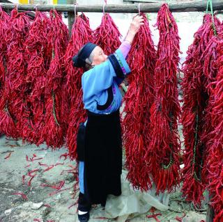 食辣如何唔易上火（中山听众点播）