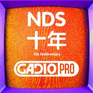 NDS十年！【GADIOPRO VOL.168】