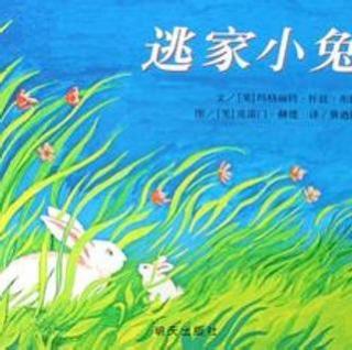 6.经典绘本故事「逃家小兔」🐰