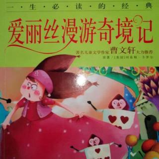 062《爱丽丝漫游奇境记》5：常胜赛跑和长故事