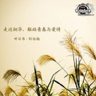 Vol.45 走近桐华,触碰青春与爱情-白杨