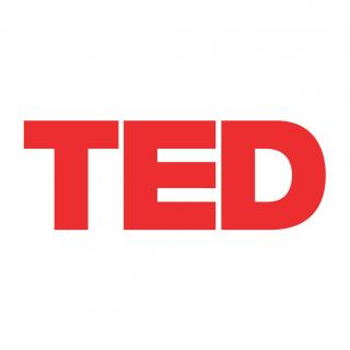 张晓静--艺术介入生活  TEDxDUT