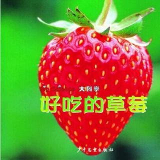 163【儿童故事】好吃的草莓