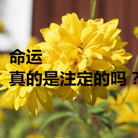 命运真的是注定的吗?