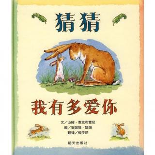 《猜猜我有多爱你》