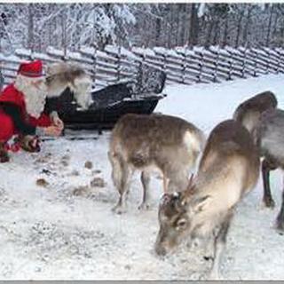 118 Hello, Reindeer-你好，麋鹿-超好听圣诞歌曲5