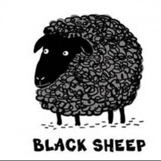 black sheep是指黑色的羊吗?