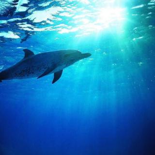 蓝色的海豚岛【第三章】阿留申人猎捕海獭
