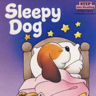 12月22日 Sleepy Dog