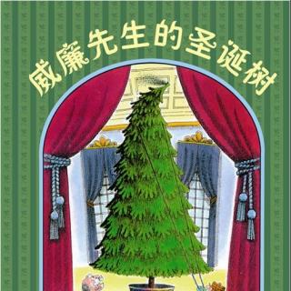 经典绘本赏读丨圣诞绘本《威廉先生的圣诞树》