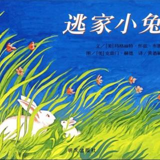 【兜友讲故事】故事妈妈讲绘本：逃家小兔
