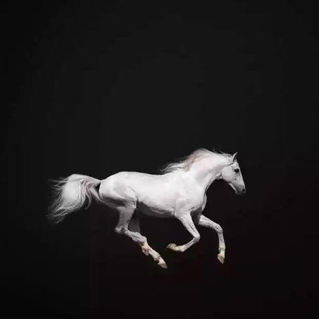 no.007-watching tv.2014.12.30---雅思口语帖