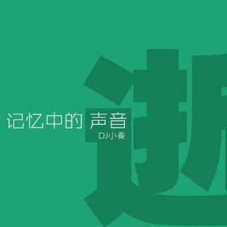 【记忆中的声音】- 再回首 - DJ小麦