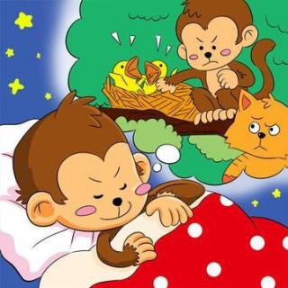 故事-不爱睡觉的小猴子