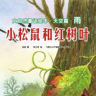 《小松鼠和红树叶》-绘本故事8