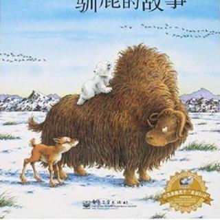 【小葱故事会】153.小北极熊和驯鹿的故事