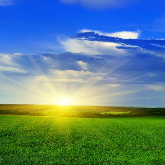 第009期:晨起自勉文