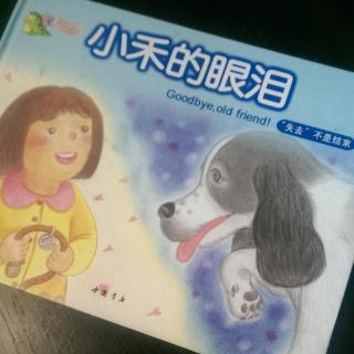 有声故事：小禾的眼泪