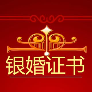 暮色原野贰零壹伍谨此祝福爸妈银婚快乐