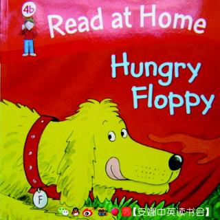 【安娜读绘本】1. hungry floppy
