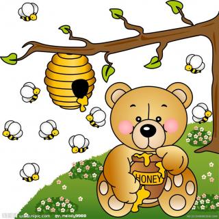 《小熊和蜜蜂》主播：桔子姐姐