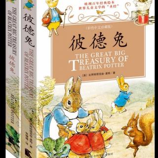 《彼德兔》第十二集 - 鸭子杰米玛·帕德尔的故事