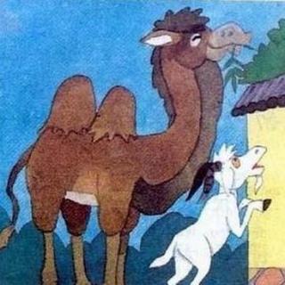 【天天宝贝读】睡前故事：骆驼和老山羊