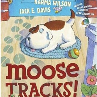 《谁留下了麋鹿的脚印👣》Moose Tracks！附原文