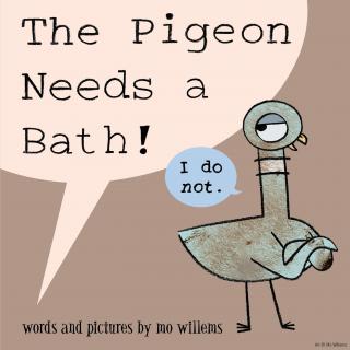 【糖豆听英文】The pigeon needs a bath鸽子需要洗澡了
