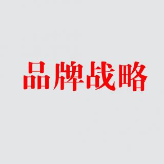 商业模式7（品牌战略）